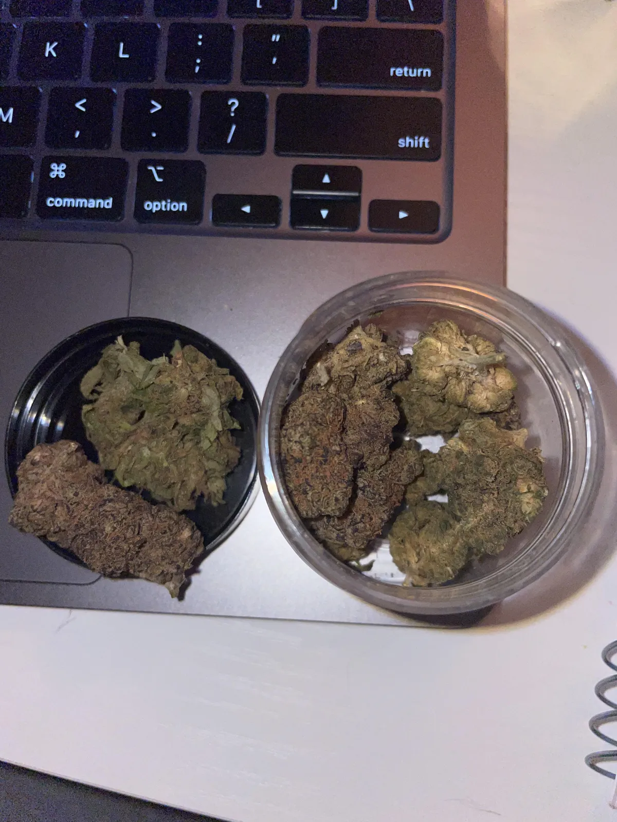 Various cannabis buds, including green and purple strains, from a Rota social club, displayed near a laptop.