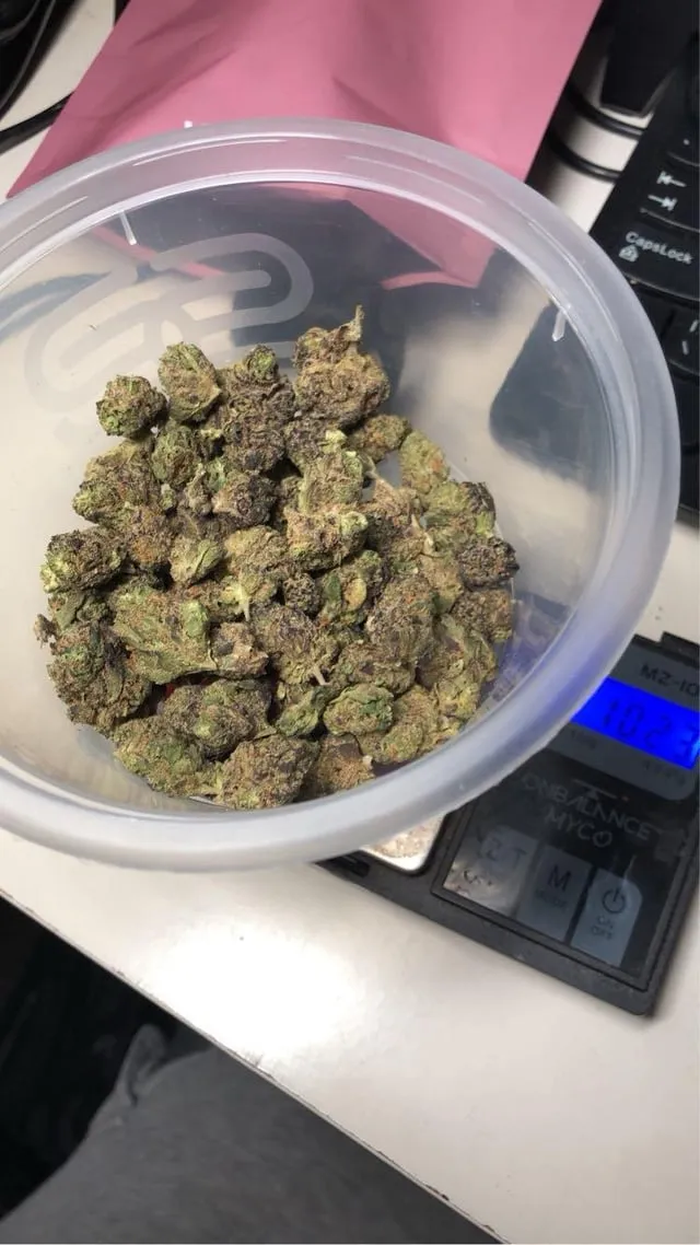 Green and purple cannabis buds in a clear container, weighed on a digital scale in Conil De La Frontera.