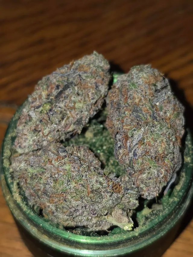Close-up of potent, trichome-covered cannabis buds in a grinder, reflecting strains found in Cartagena clubs.