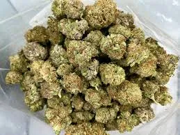 Dried cannabis buds, possibly from a Torrenostra social club, for consumption by members in Spain.