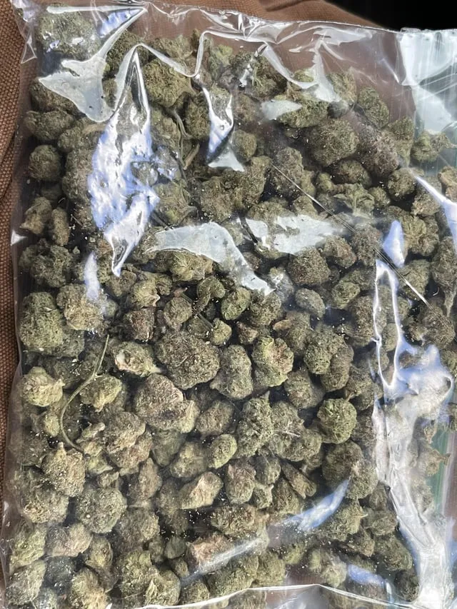 Bag of cannabis buds, ready for use at a Vinaros social club in Spain.