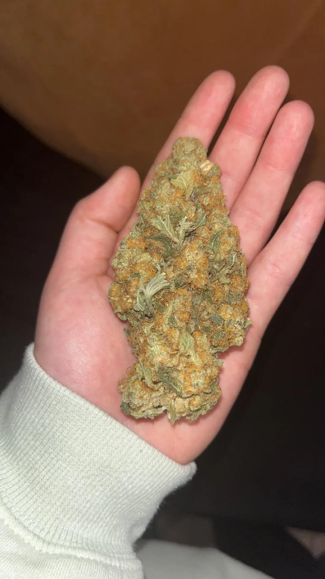 Hand holding a large, dense, vibrant cannabis bud, characteristic of Mazarron social clubs in Spain.