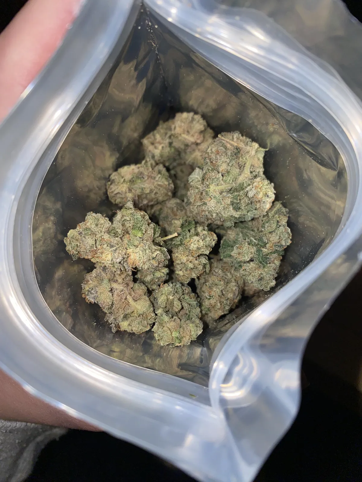 Cannabis buds in a transparent bag, likely from a Calafell social club, showing quality product.