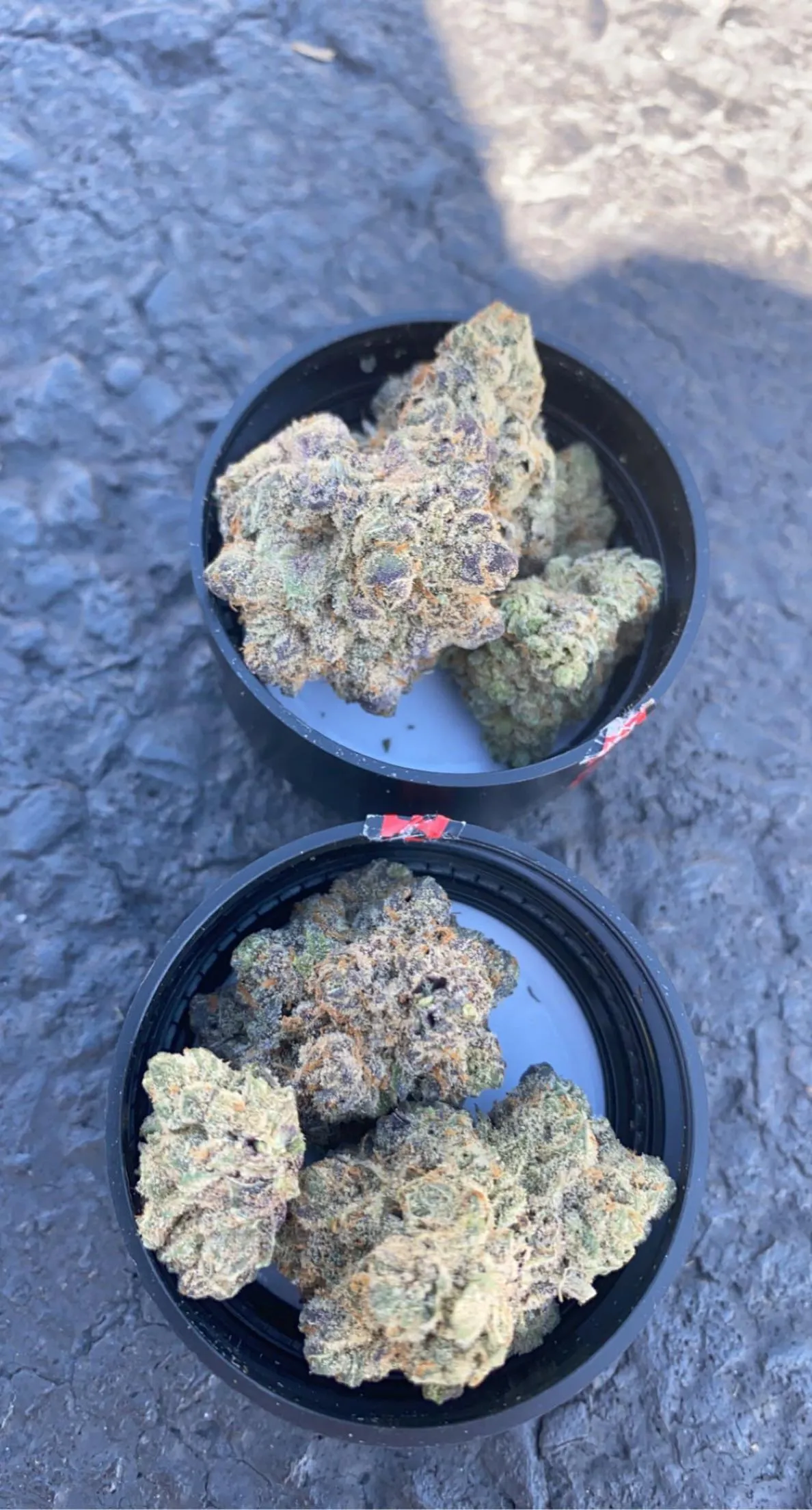 Trichome-rich cannabis buds in containers, representing quality available at El Vendrell social clubs.