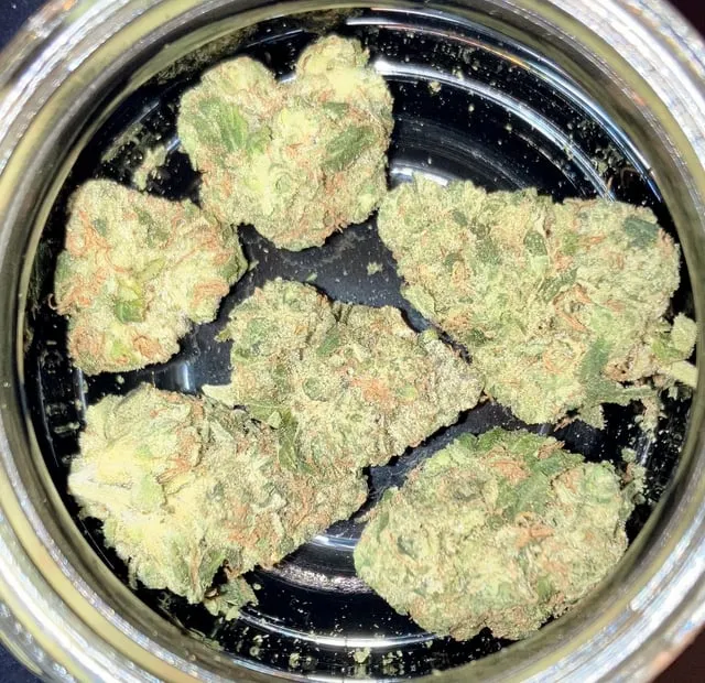 Close-up of vibrant green cannabis buds, rich in trichomes, inside a jar for a club in Algeciras, Spain.