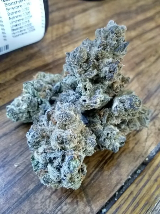 Trichome-rich cannabis buds on a wooden surface, ready for members at a Creixell social club.