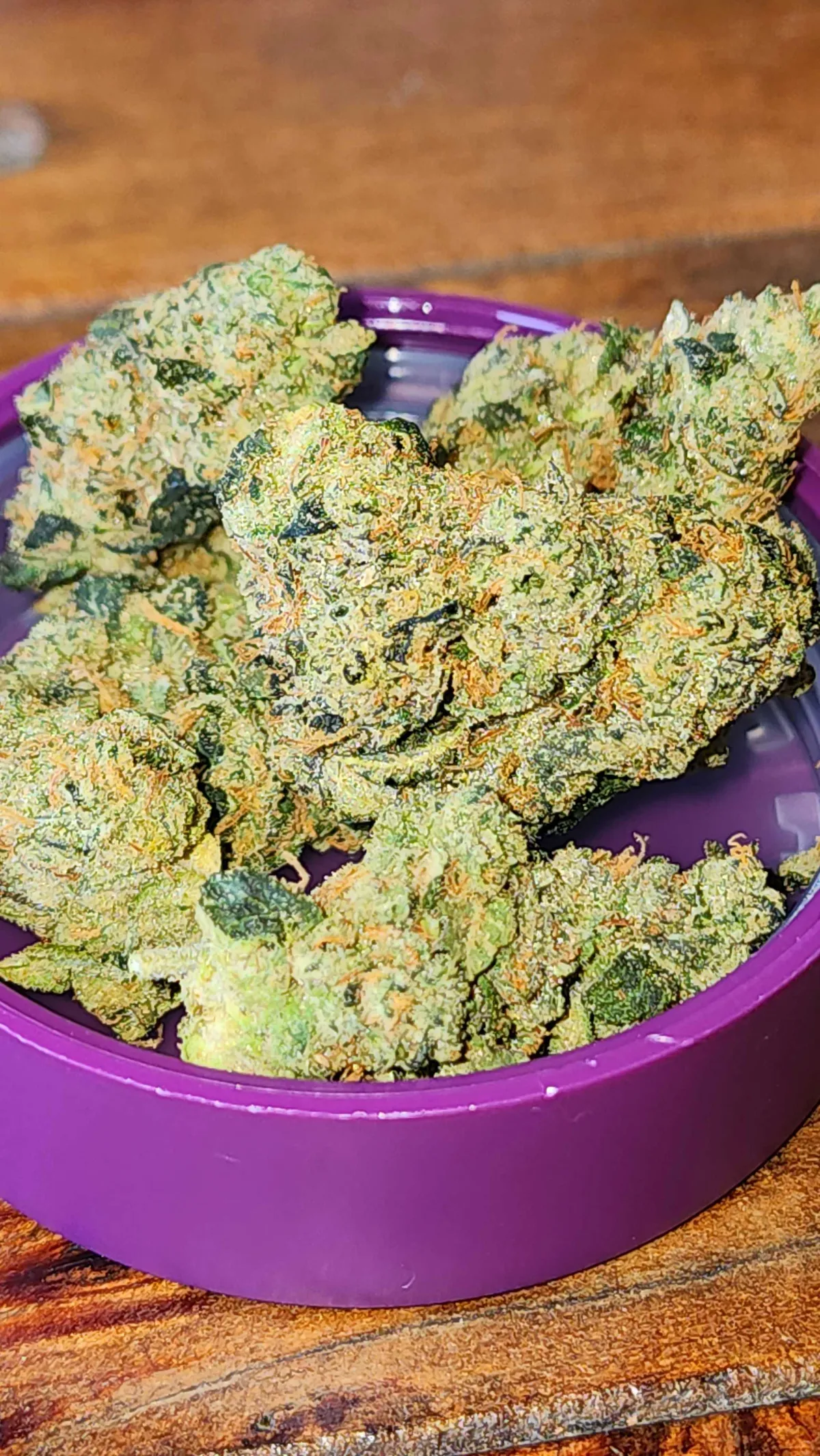 Vibrant cannabis buds in a purple container, representing quality offerings at a Los Alcazares social club.