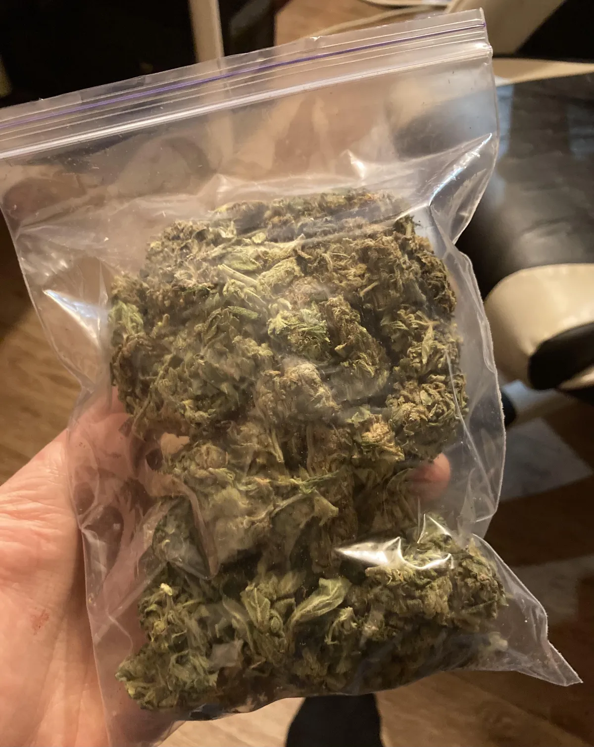 Hand holding clear bag of cannabis buds, common sight at Coin social clubs in Spain.