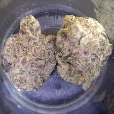 Two cannabis buds, richly frosted, often seen at social clubs in Rincon De La Victoria.