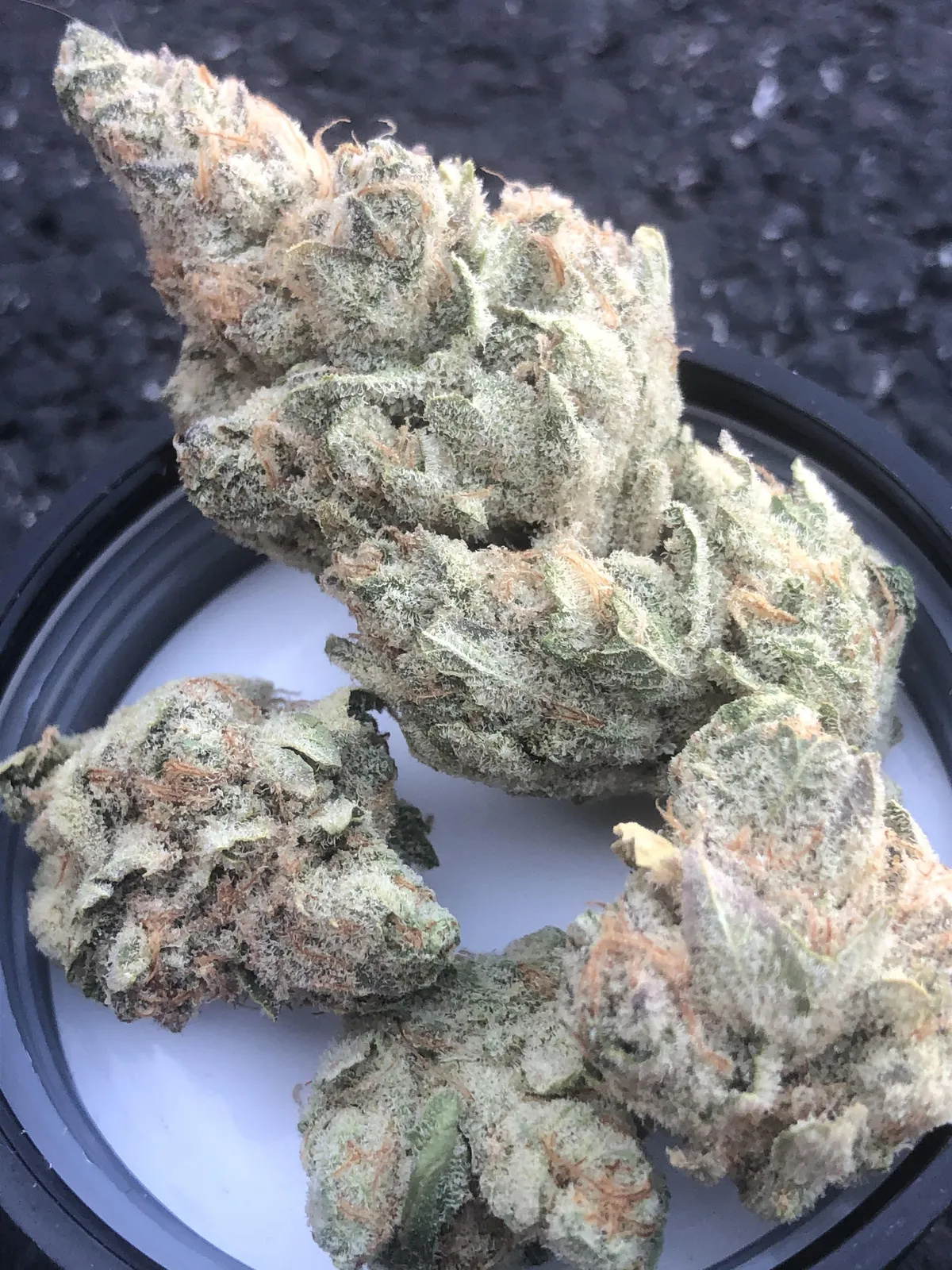 Close-up of frosty cannabis buds from a social club in Algamitas, Spain, ready for enjoyment.
