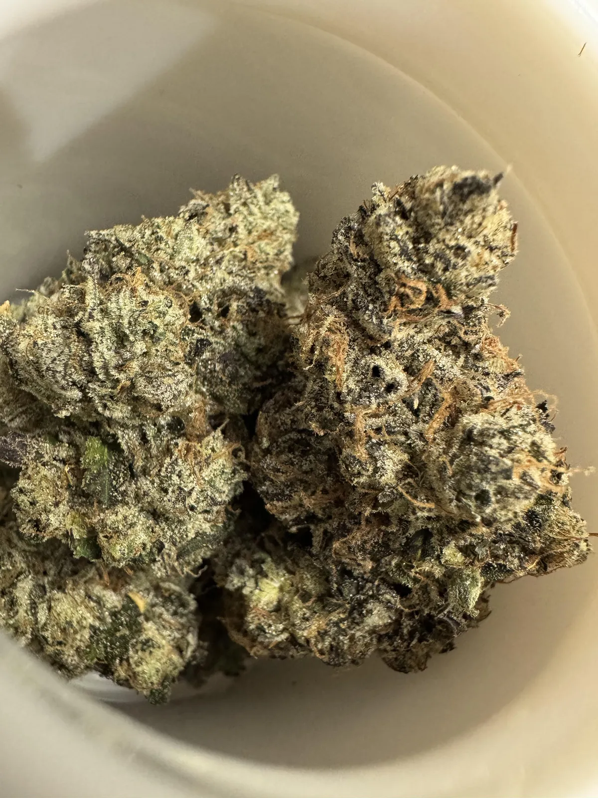Close-up of frosty cannabis buds with orange hairs, found in a Mula social club in Spain.