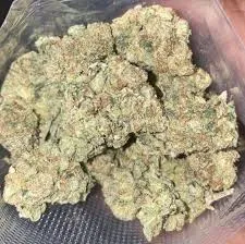 Potent, trichome-rich cannabis flower buds, resembling those found in Fuente Alamo De Murcia's social clubs.