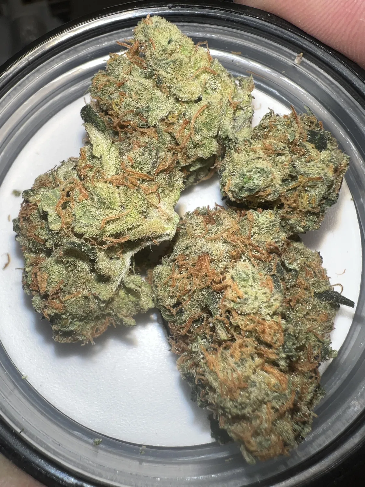 Close-up of several trichome-rich, green-and-orange cannabis buds from an Alcolea Del Rio social club.