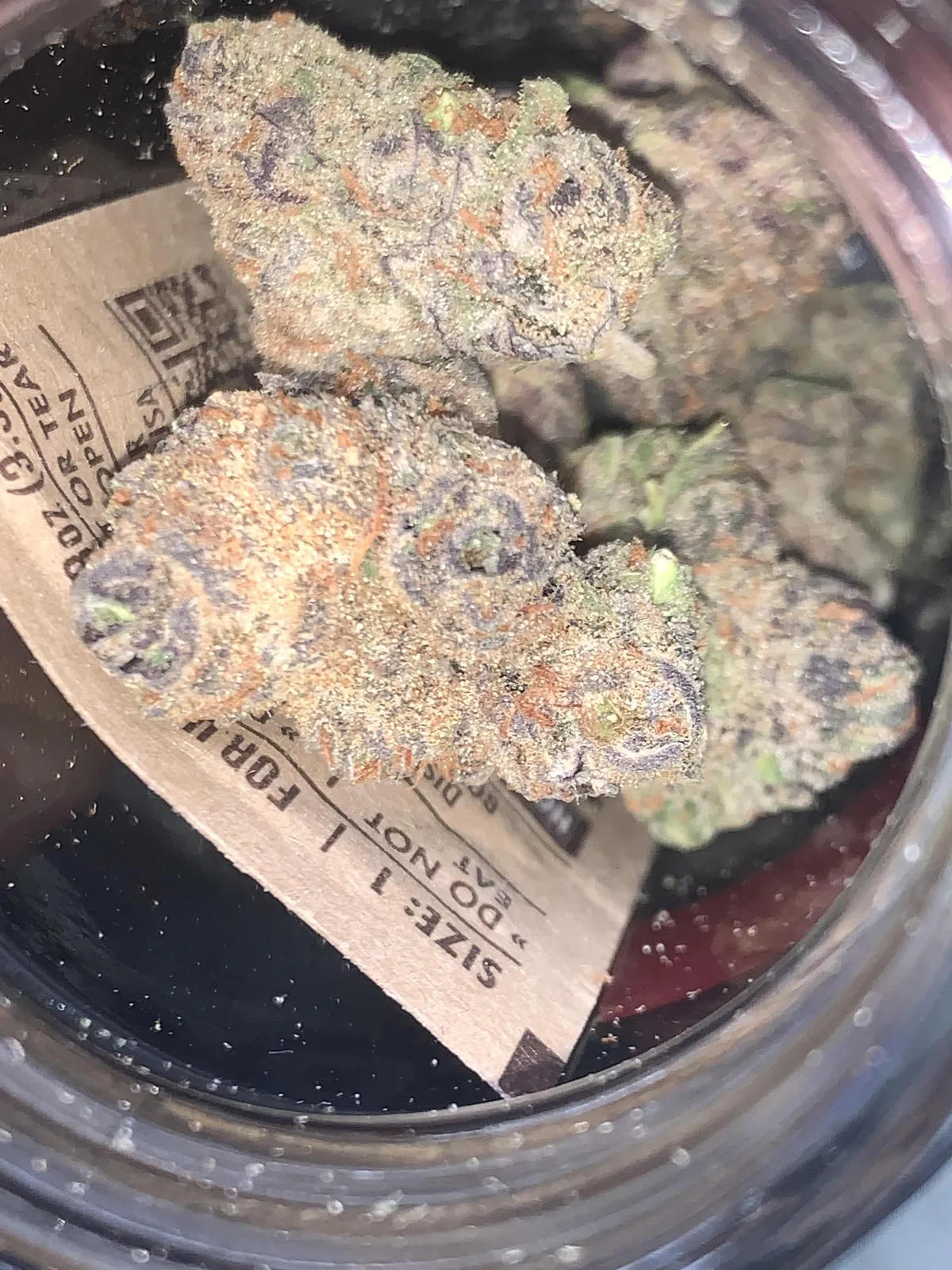 Trichome-rich cannabis buds in a jar, ready for enjoyment at a Torredembarra social club.