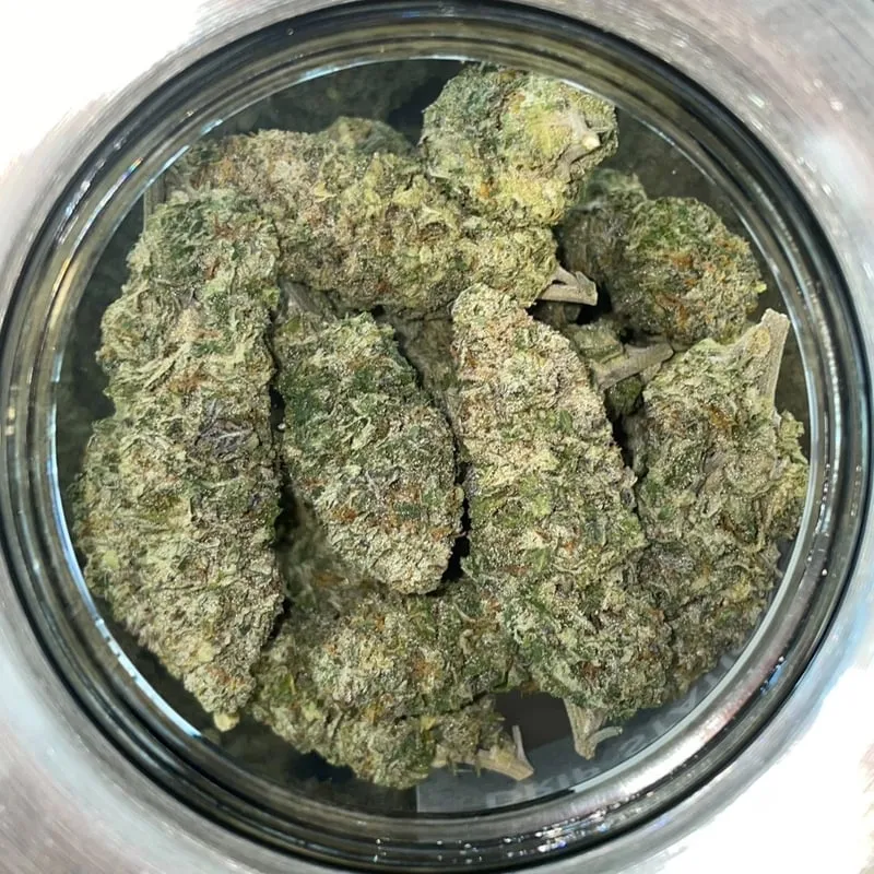 Close-up of vibrant, trichome-rich cannabis buds in a jar, typical of Aguadulce social clubs.