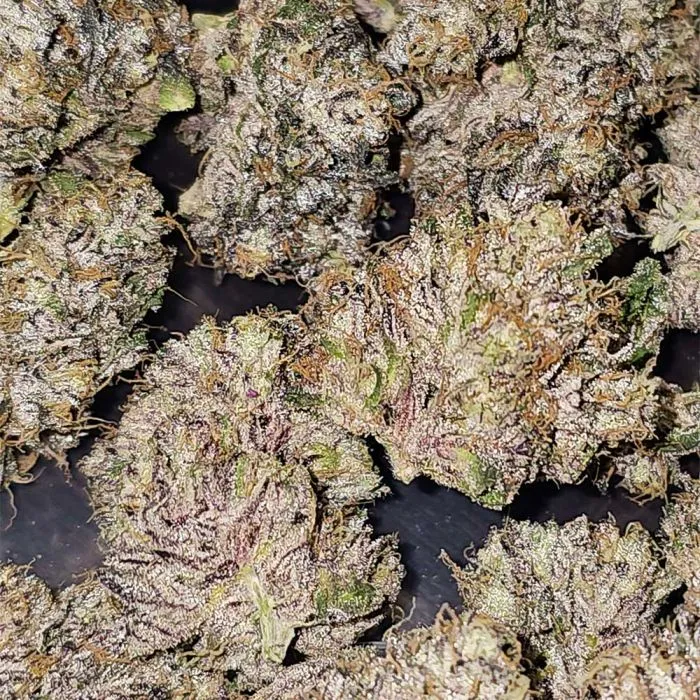 Close-up of vibrant, frosty cannabis buds available at a social club in Motril, Spain.