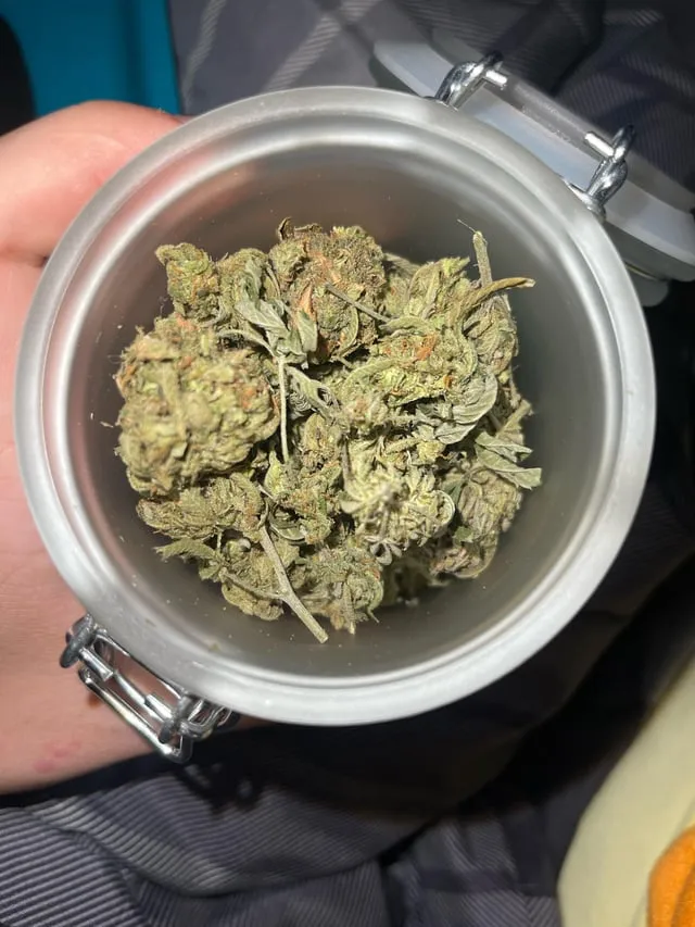 Dried cannabis buds filling a clear glass jar, representative of offerings at Fuengirola social clubs.