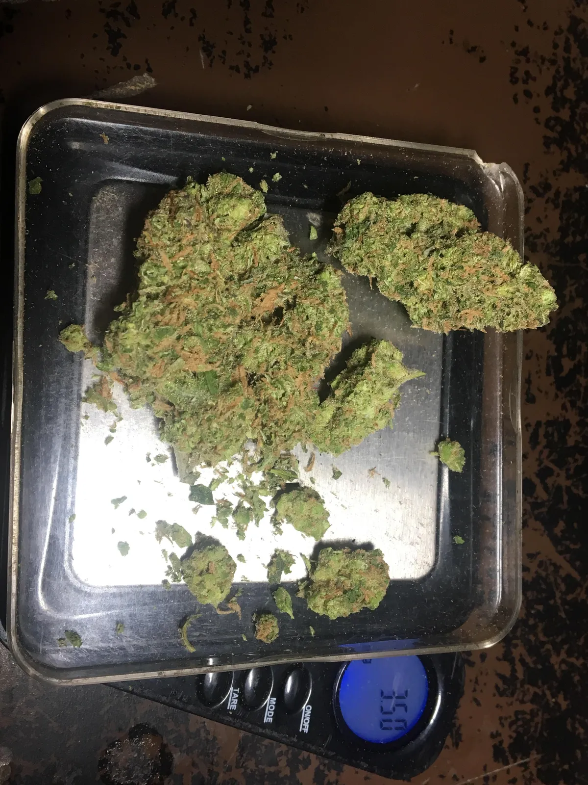 Fresh green cannabis buds with orange hairs weighed on a digital scale for an Estepona social club.