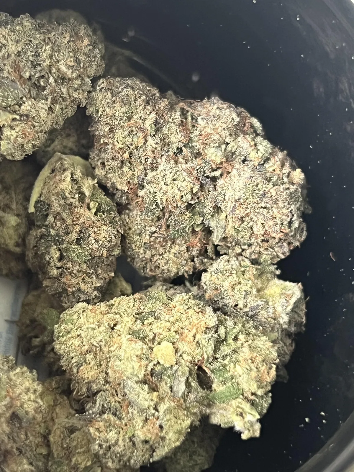 Close-up of potent-looking cannabis buds for members of a social club in Alcala De Guadaira, Spain.