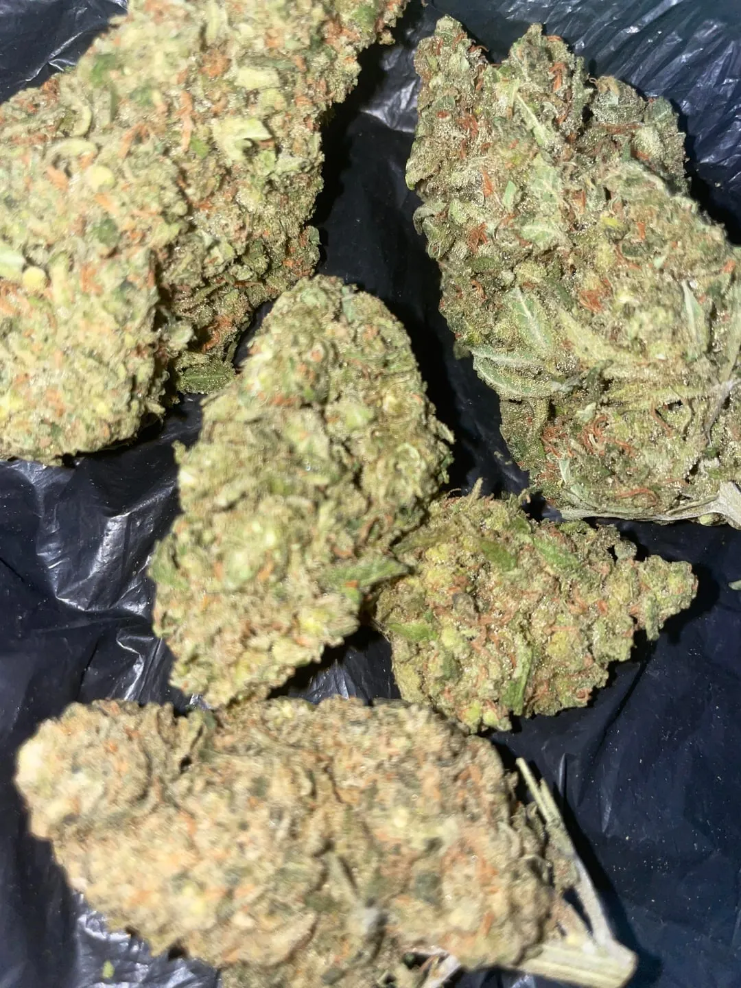 Close-up of several cannabis buds, potentially from a social club in Totana, Spain.