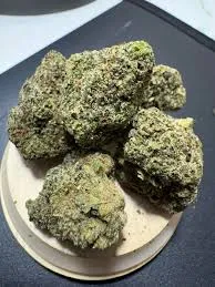 Dense, trichome-covered cannabis buds displayed at a cannabis social club in La Union, Spain.