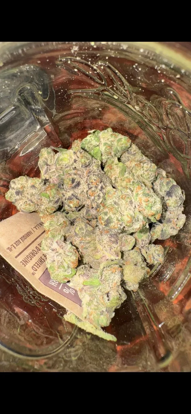 Close-up of vibrant, trichome-rich cannabis buds in a jar, typical of Cadiz social clubs.
