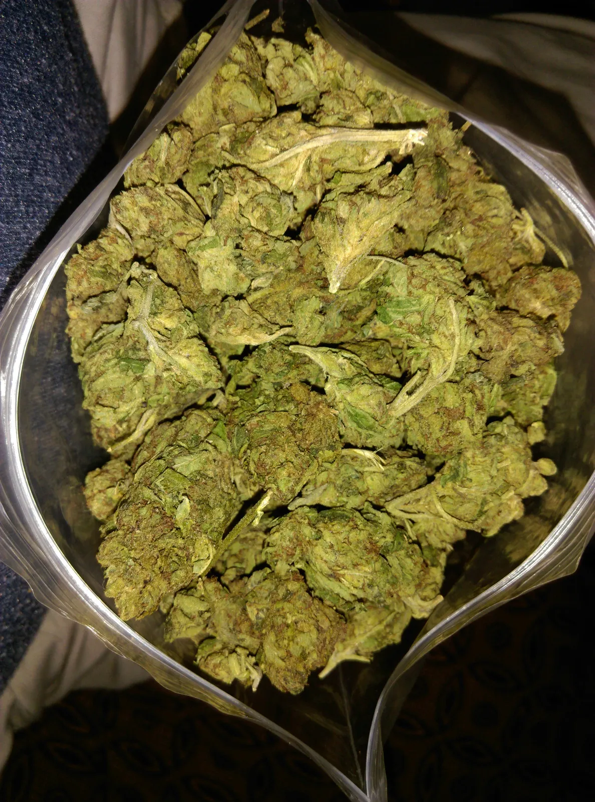 Bag full of vibrant green cannabis buds, typical of selections found in Reus social clubs.