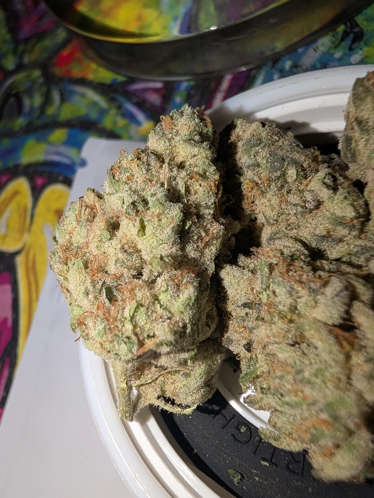 Close-up of vibrant, trichome-covered cannabis buds in a container, often found at Vera social clubs.