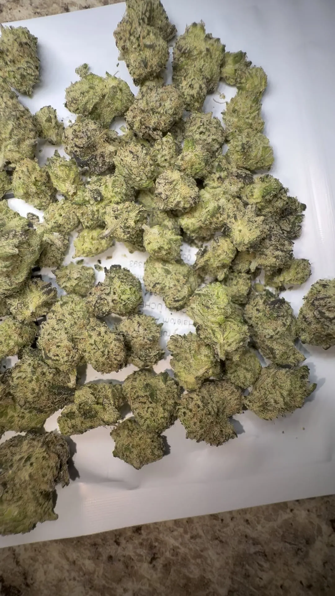 Close-up of vibrant, trichome-rich cannabis buds, indicative of quality offerings at an Alanis social club.