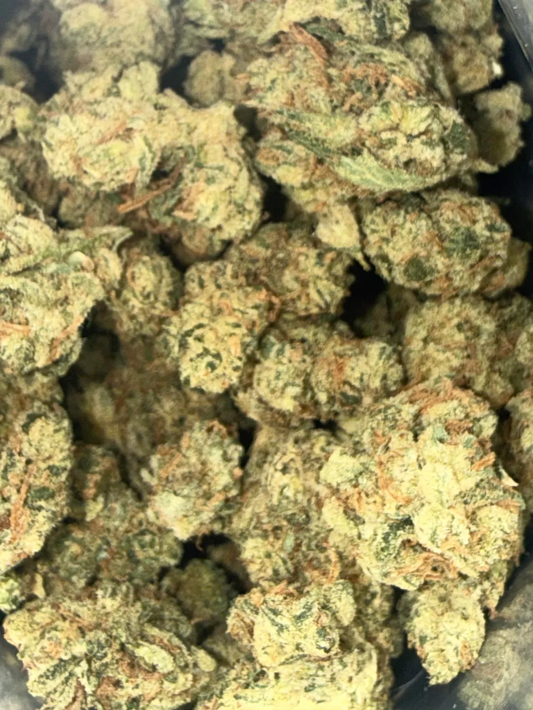Close-up of potent cannabis buds, vibrant green with orange hairs, available at Almeria social clubs.