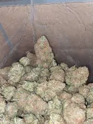 Pile of dried cannabis buds, likely from a social club in Almonte, Spain.