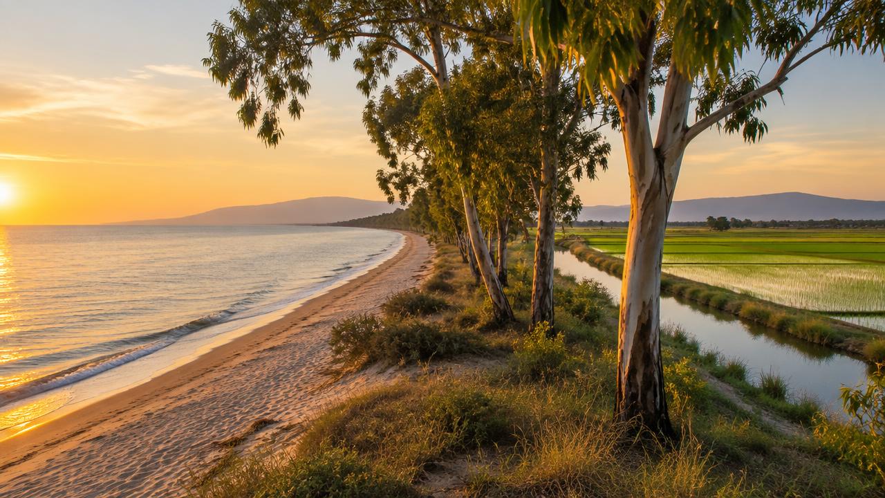 Panoramic view of Eucaliptus beach and Ebro Delta landscape in Spain near local cannabis clubs
