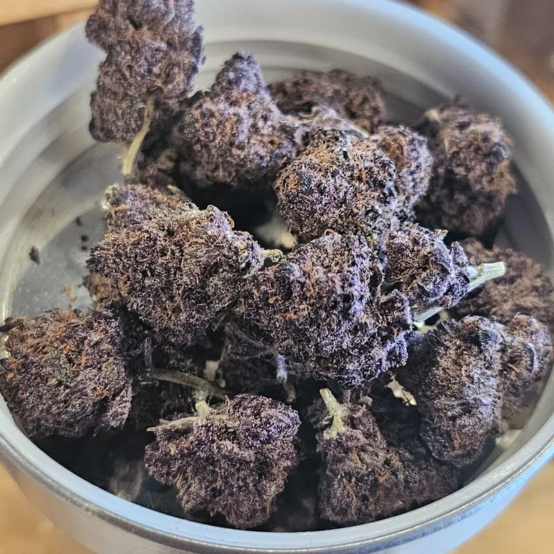 Vibrant purple cannabis buds, rich with trichomes, ready for members at a Castelldefels social club.